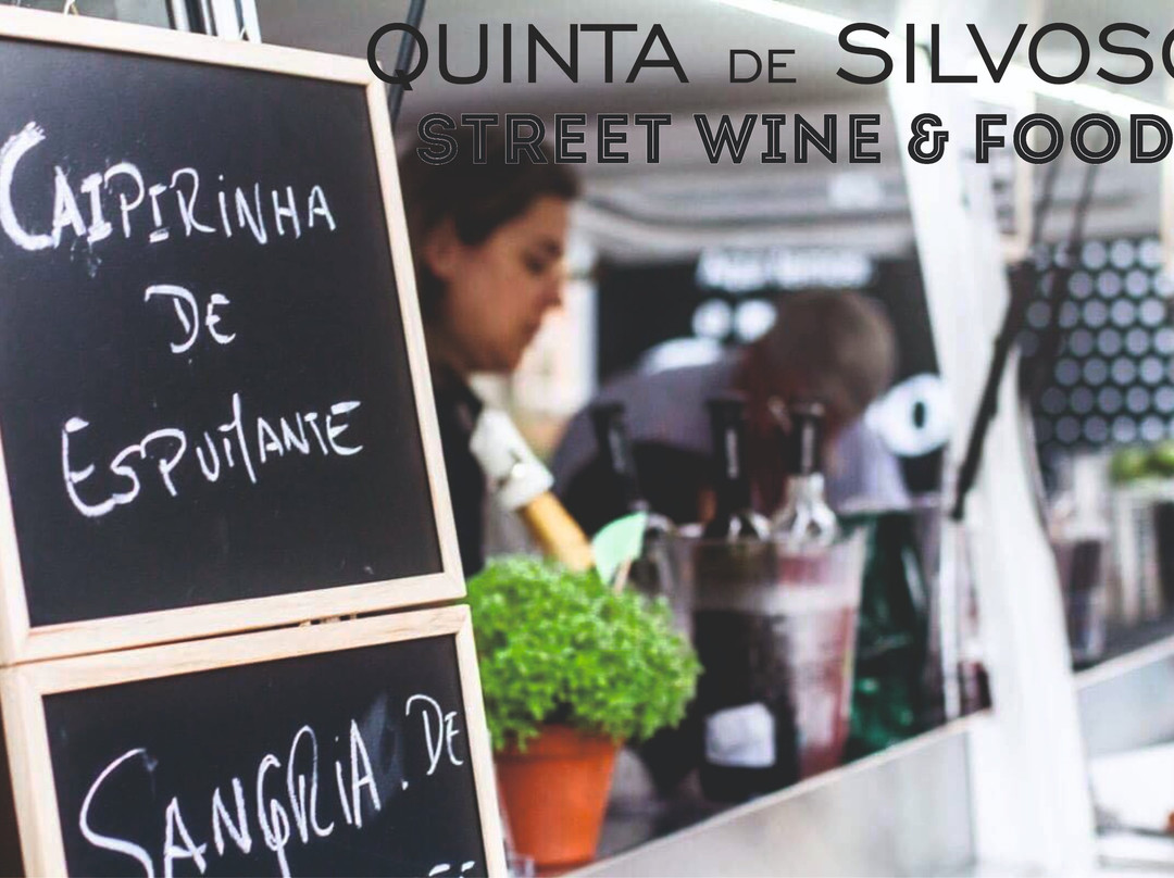 Quinta de Silvoso景点图片