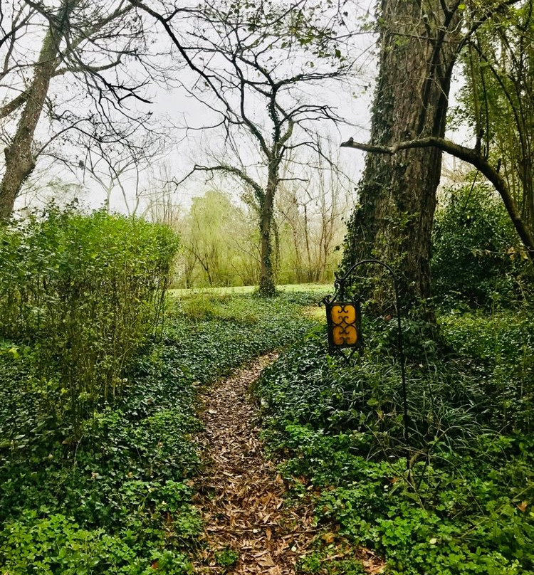 The Veranda Historic Inn主图