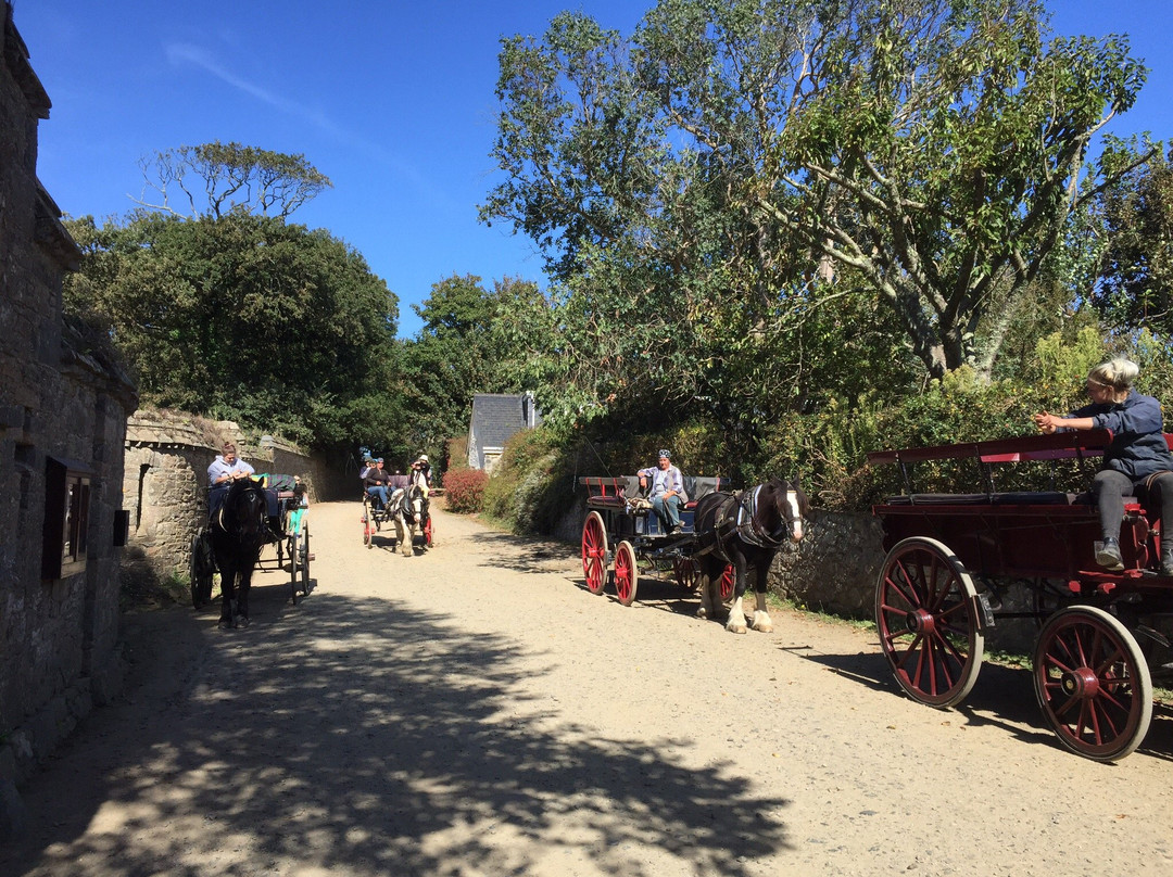 Sark Carriages-Sark必去景点