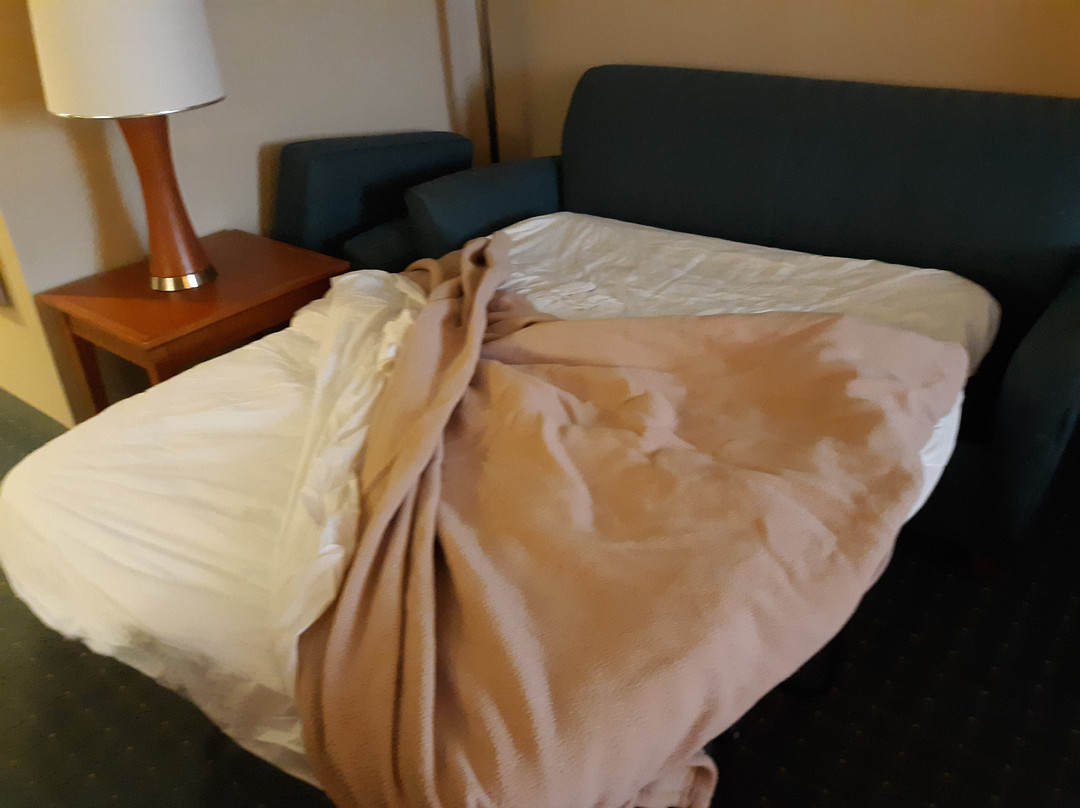 Wingate by Wyndham Richmond Short Pump主图