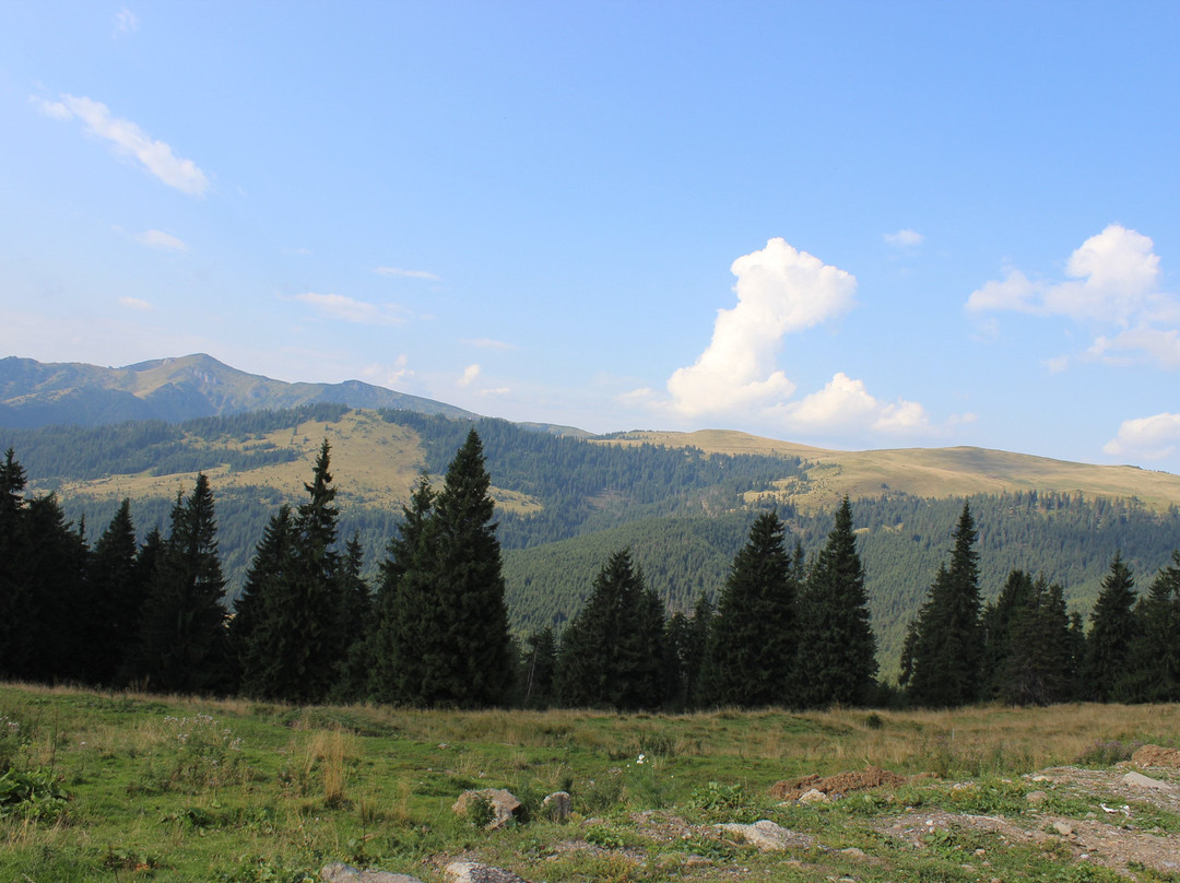 Prislop Pass景点图片