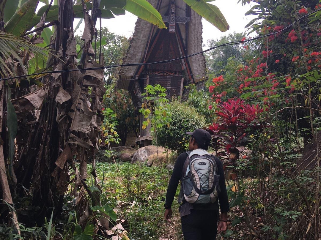 Ino Toraja Guide景点图片