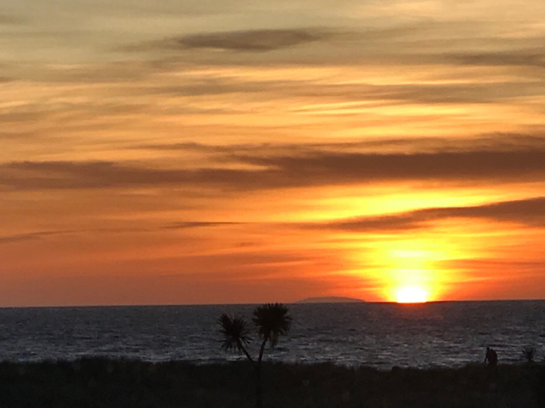 Endeavour Guest House主图