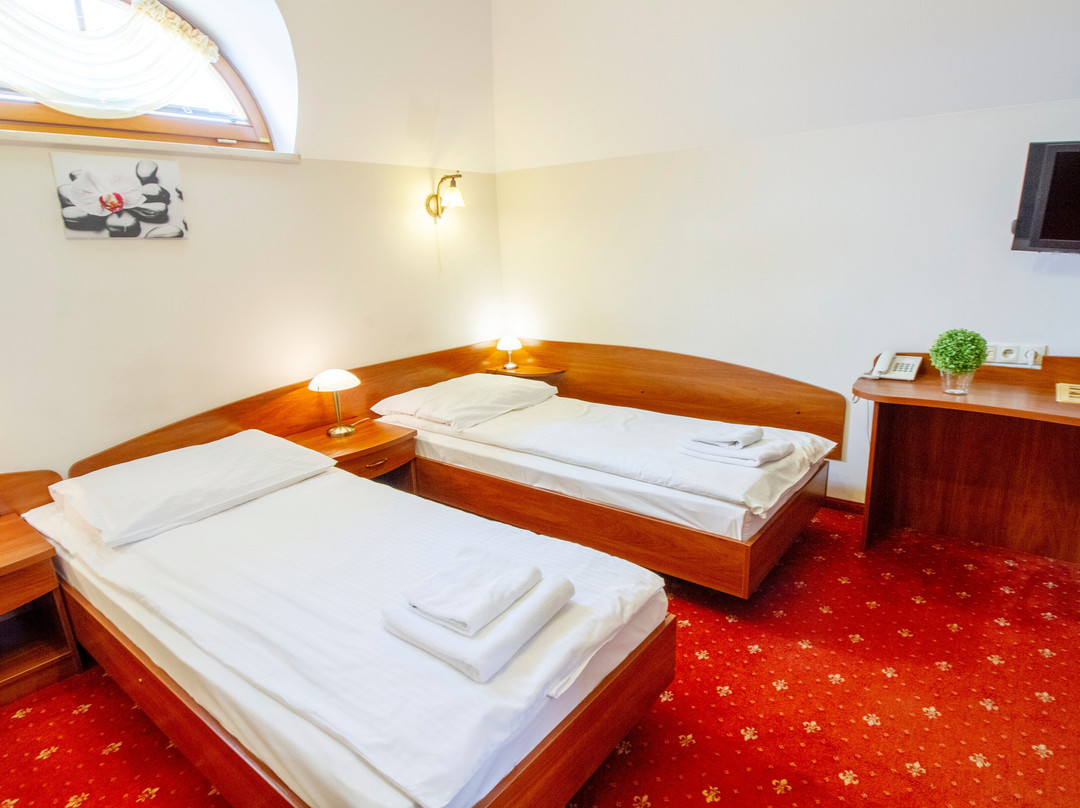 Hotel Stary Młyn主图