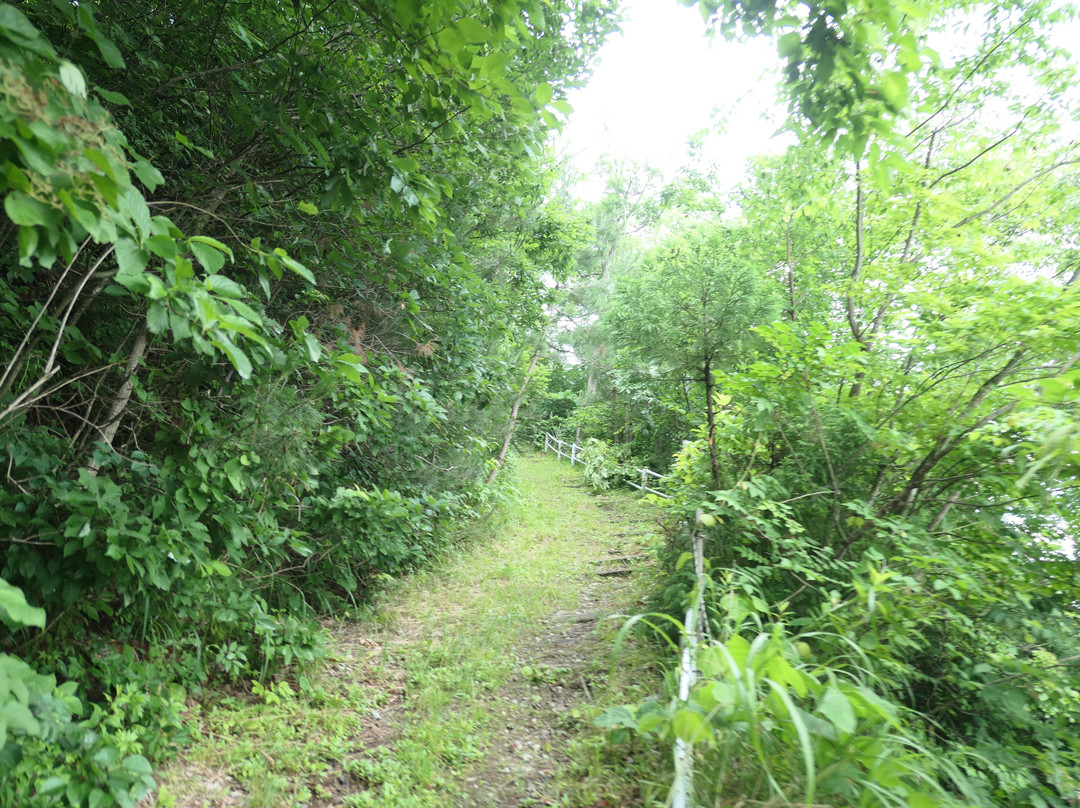 Hayama Tumulus景点图片
