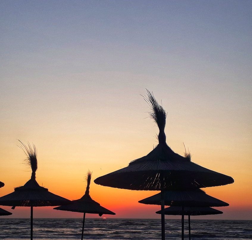 Umami Beach Resort主图