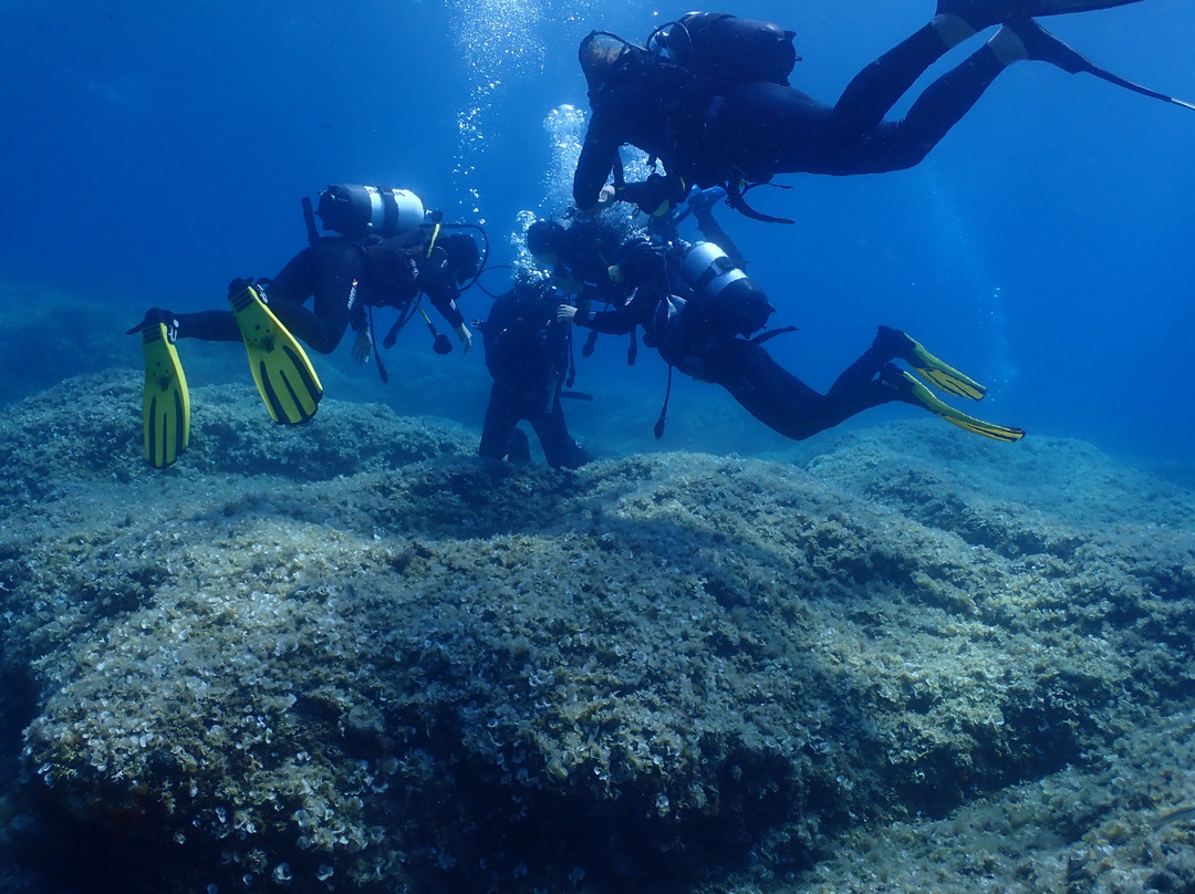 Diving Center Pongo-普莫斯特必去景点