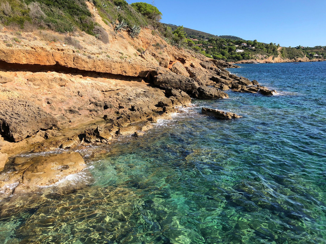 Spiaggia Stecchi景点图片