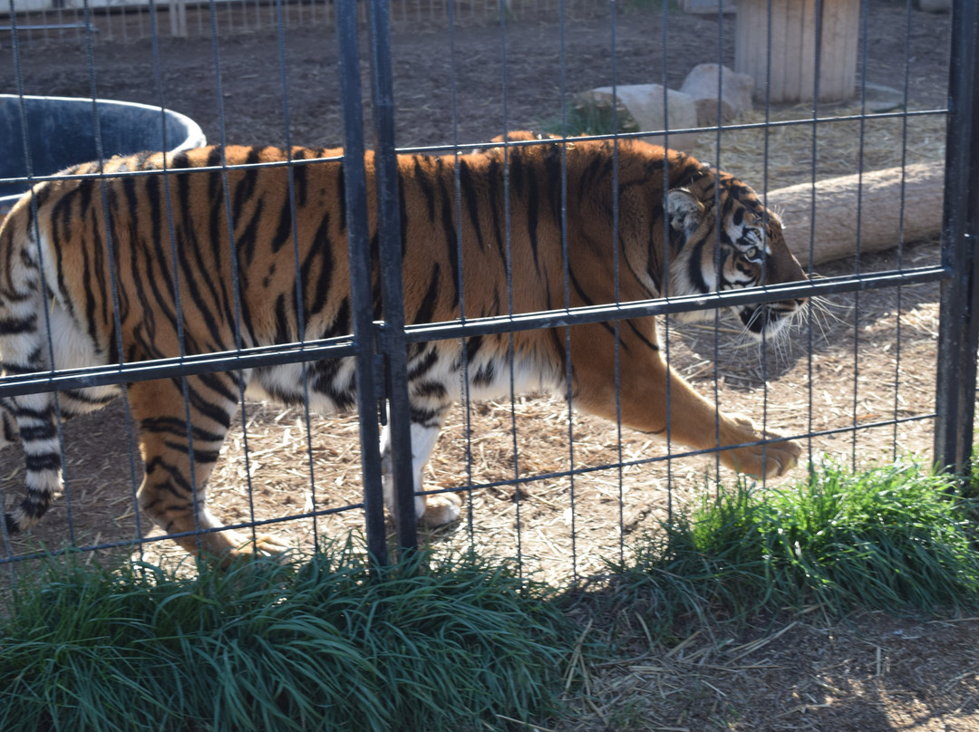 Parc Animalier De La Sainte Victoire景点图片