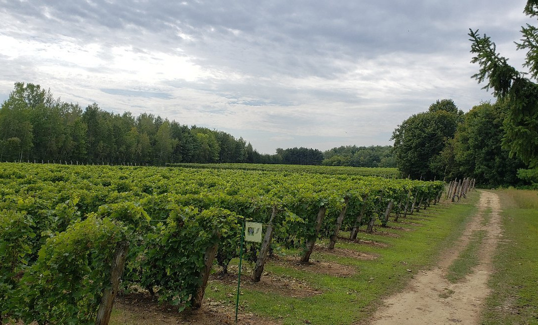 Vignoble Côte De Vaudreuil-沃德勒伊多里翁必去景点