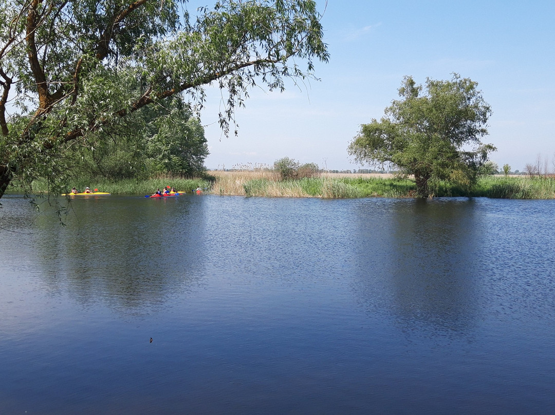 Nizhnednestrovskiy National Park-Mayaky必去景点