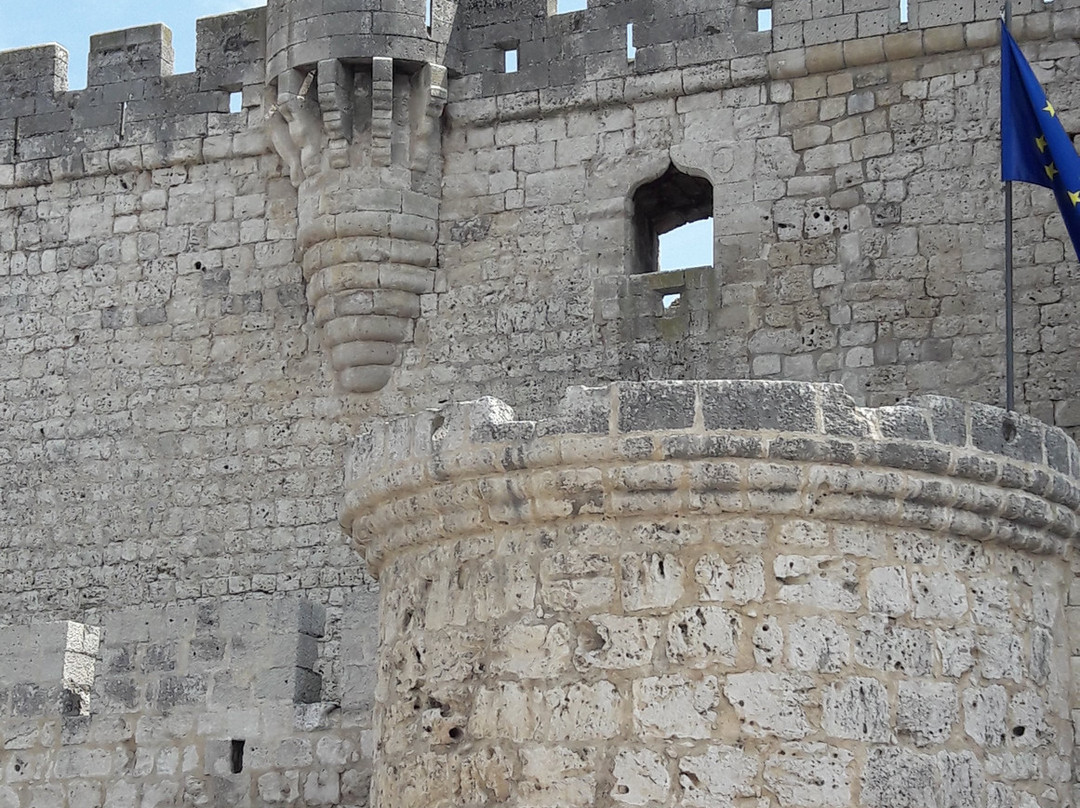 Castillo de Portillo景点图片