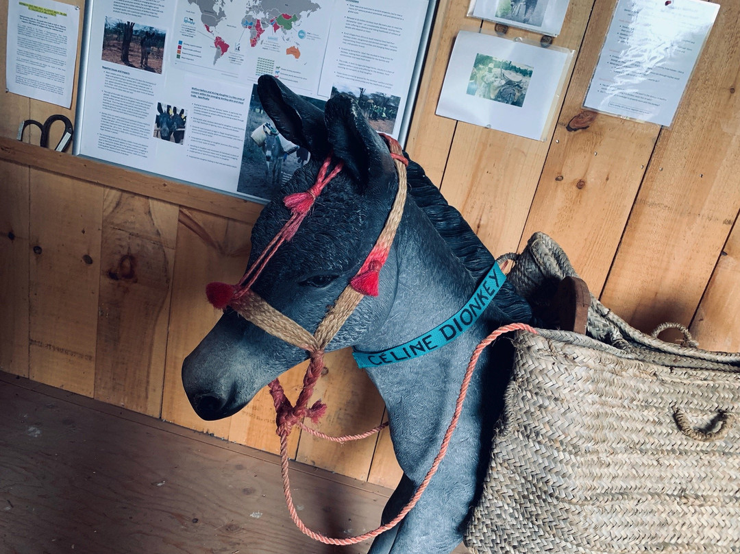 Donkey Sanctuary Of Canada-Puslinch必去景点