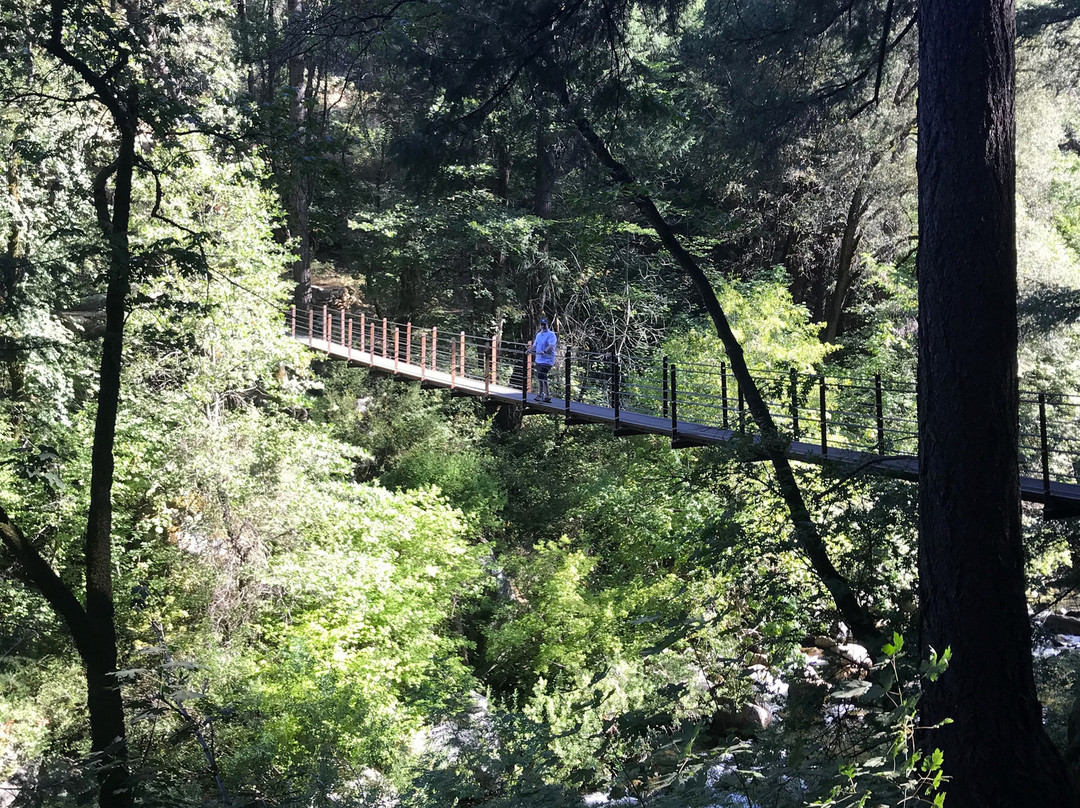 Deer Creek Tribute Trail-Nevada City必去景点