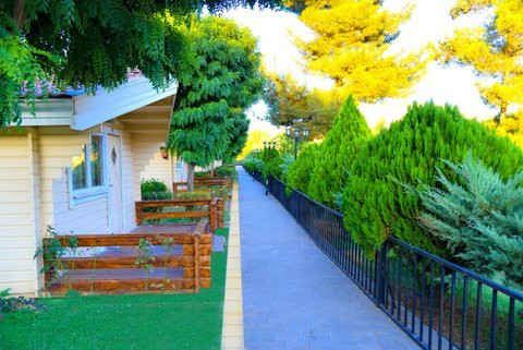 Stars Hotel and Swedish Village主图