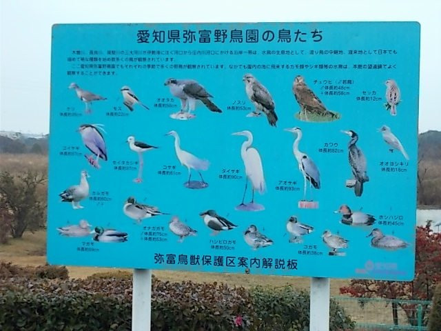 Yatomi Yachoen景点图片