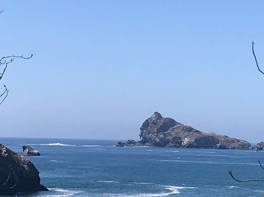 Humbug Mountain State Park-Port Orford必去景点