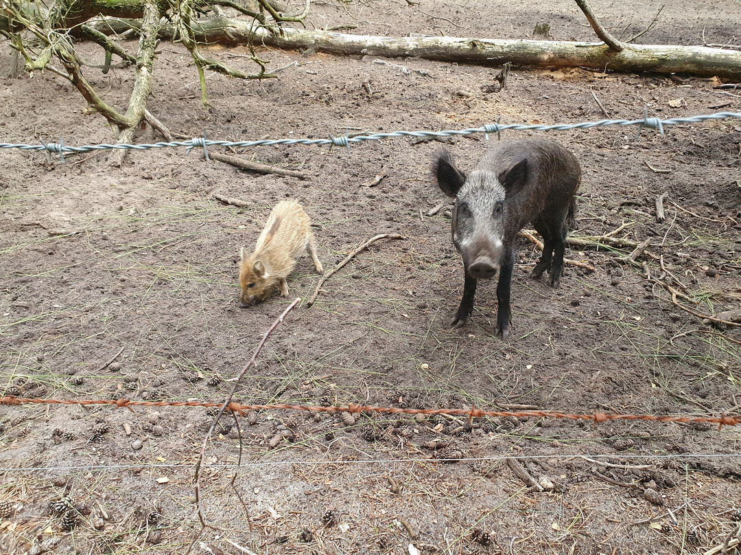 Wild-En Wandel Park