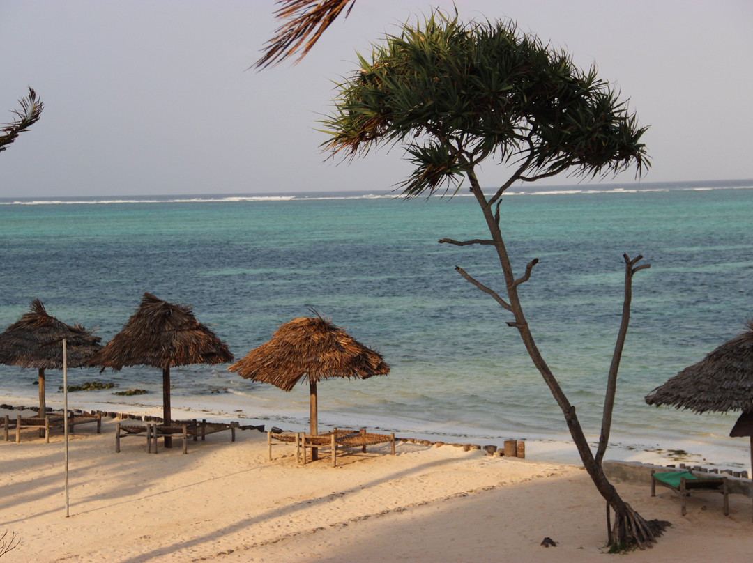 Nest Style Beach Hotel Zanzibar主图