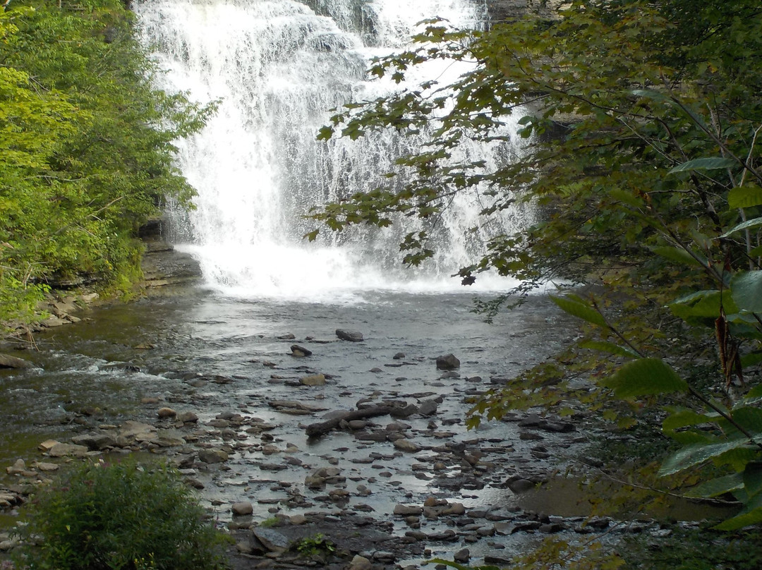 Pixley Falls State Park景点图片