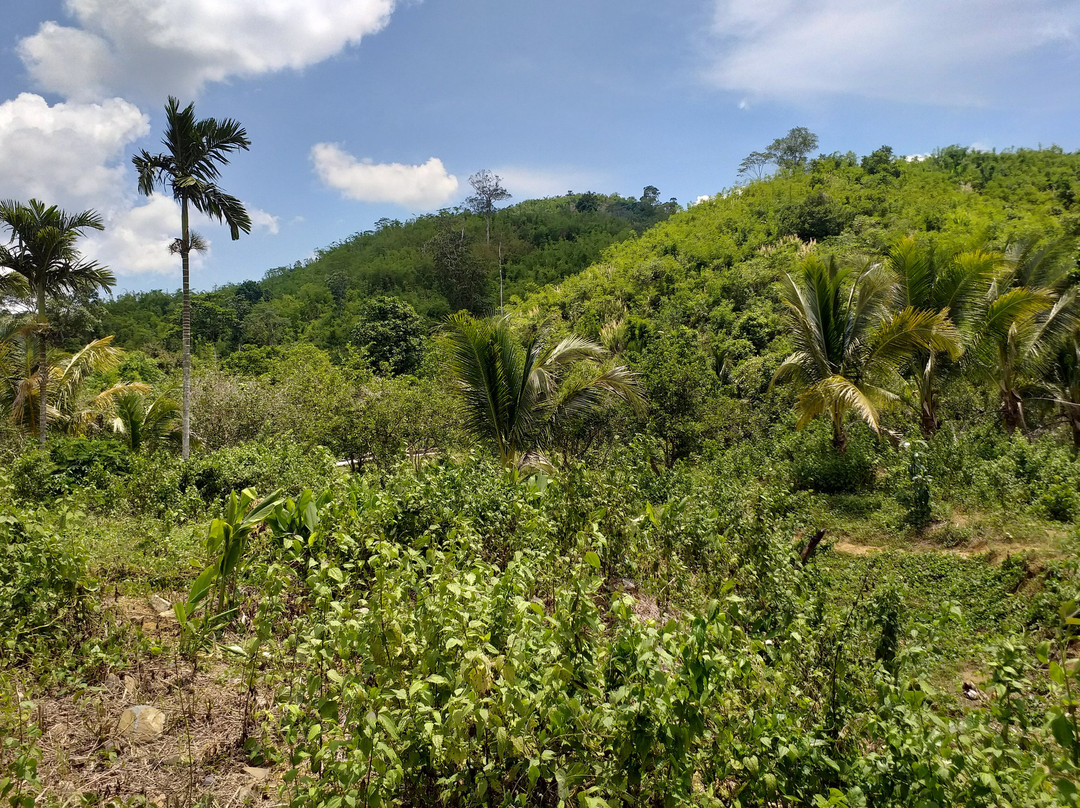 Cardamom Mountains-戈公必去景点