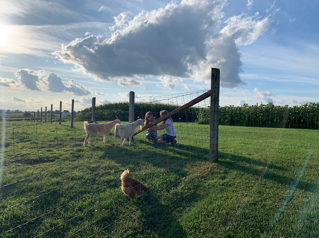 Country Log House Farm Bed and Breakfast主图