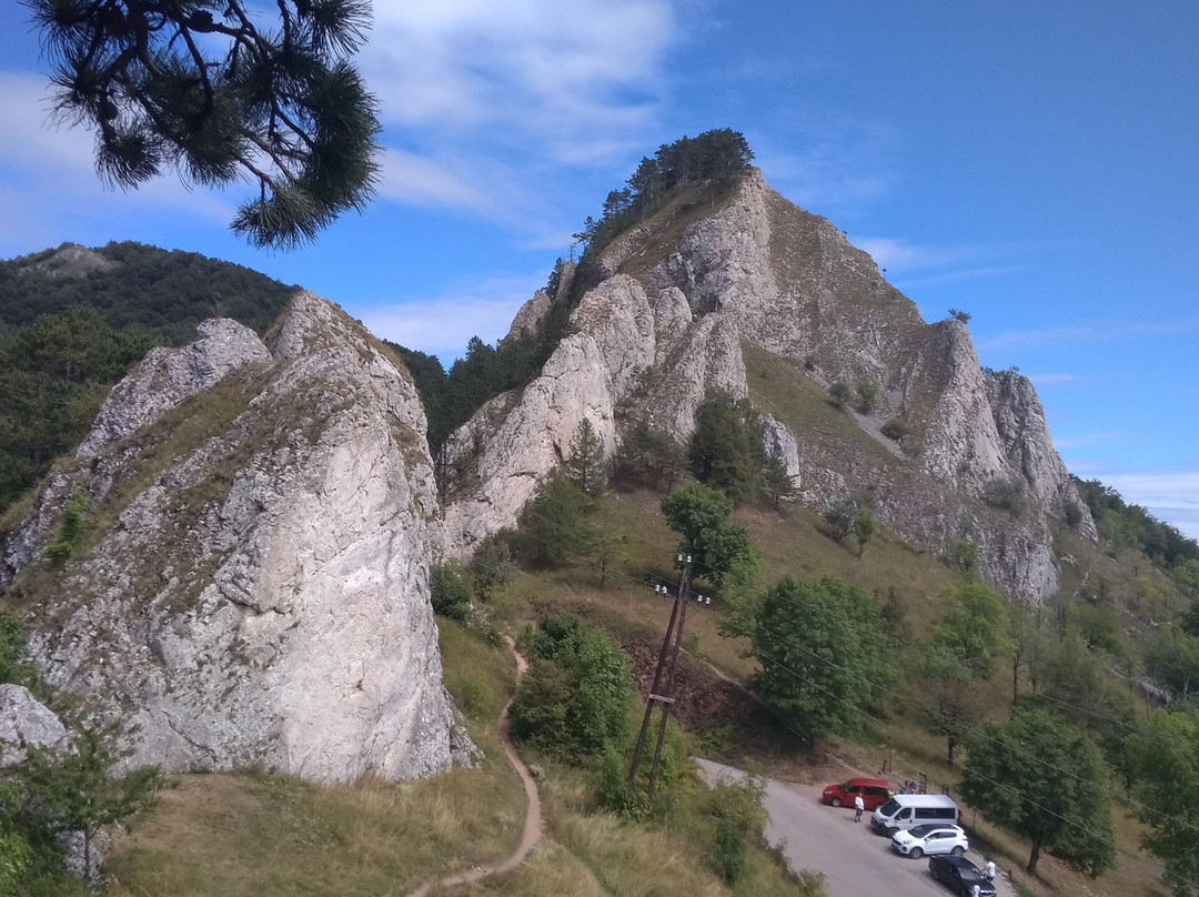 Vršatecký hrad