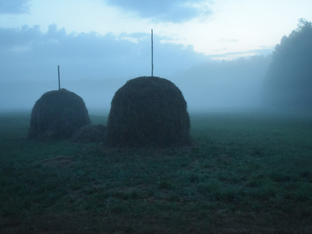 Bialowieza National Park Tours景点图片