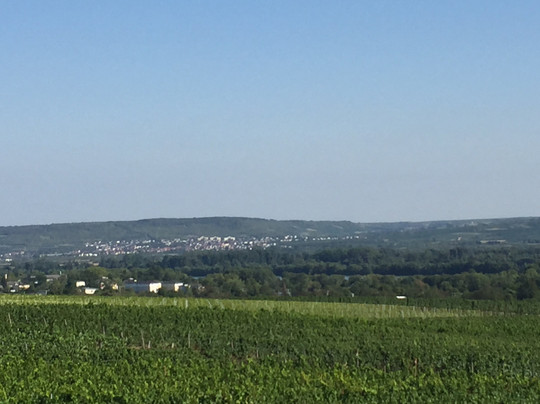 Weingut Magdalenenhof-吕德斯海姆必去景点