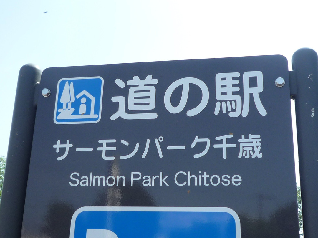 Michi-no-Eki Salmon Park Chitose景点图片