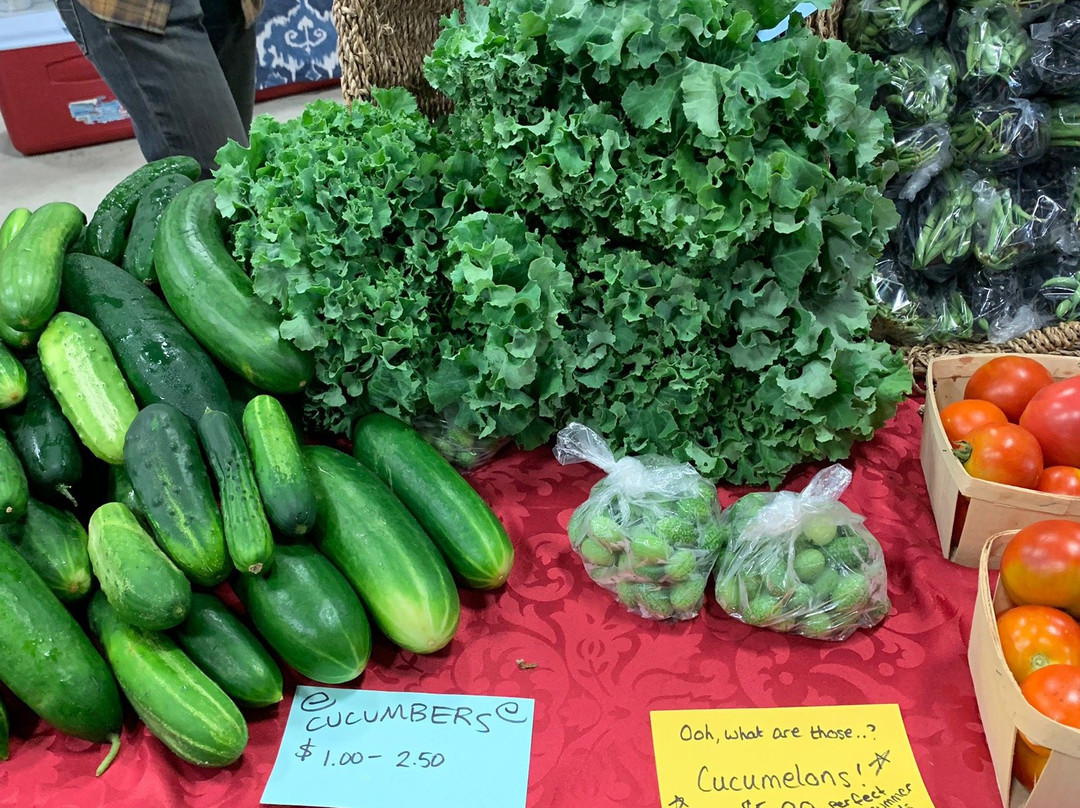 Lunenburg Farmers' Market-卢嫩堡必去景点