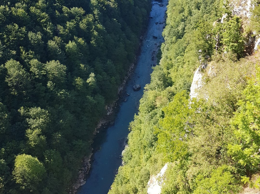 Tara Canyon Raft景点图片