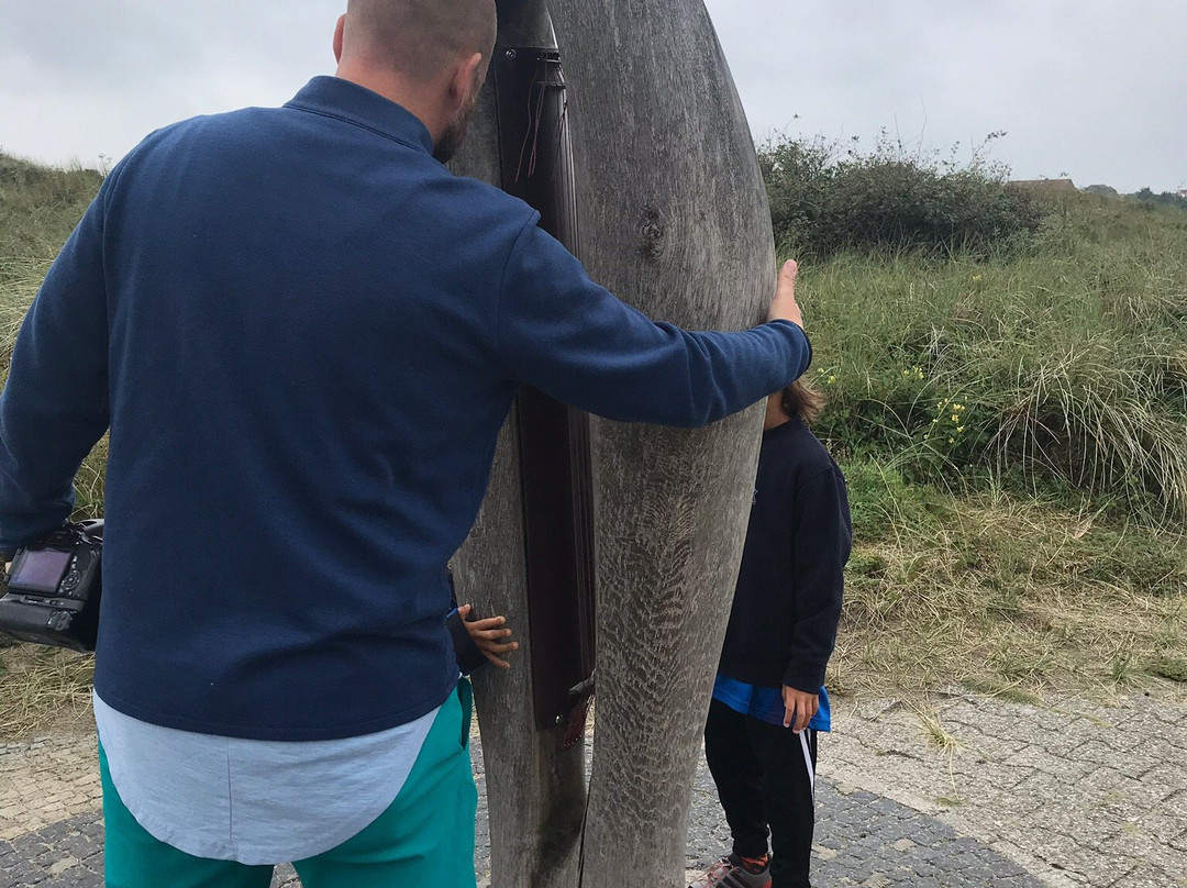 Otto - Leege - Pfad-Juist必去景点