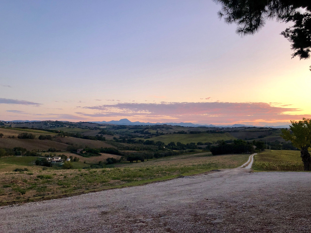 Agriturismo La Quiete主图