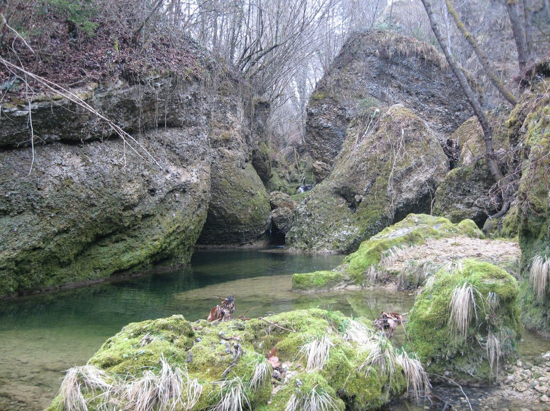 Colline di Pieve di Soligo, Luoghi Zanzottiani景点图片