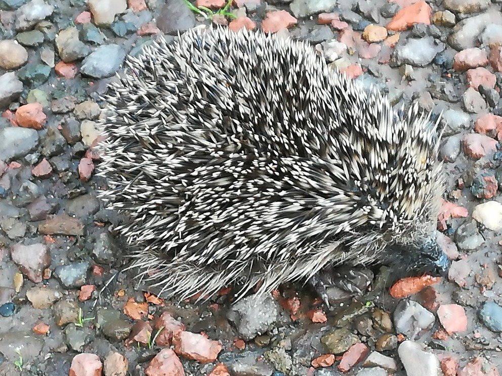 Silverdale Farmhouse B&B主图