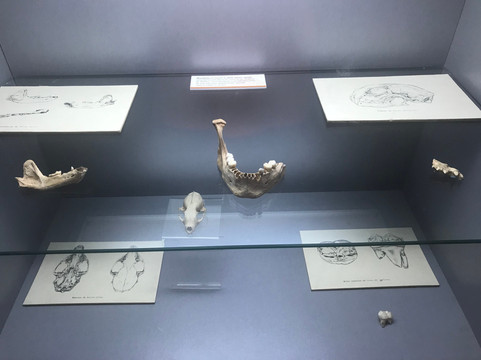 Grutas de Cristal-Molinos必去景点