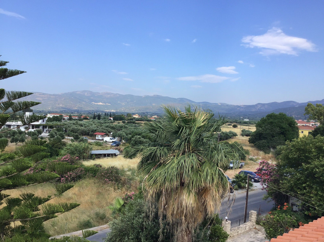 Anthis Studios主图