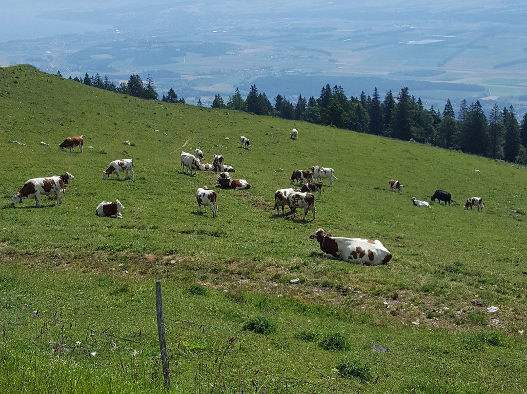 Le Suchet-Rances必去景点