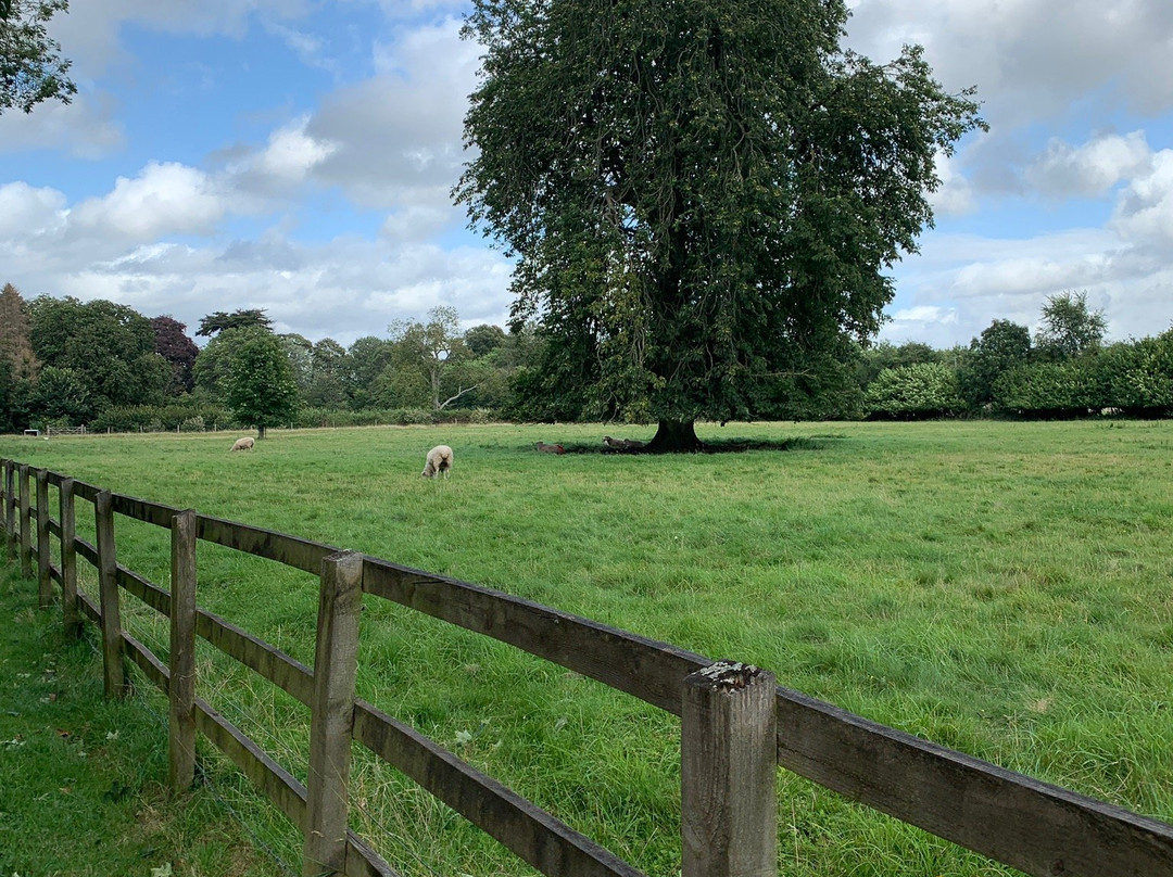 Hartwells Cotswold Cycle Hire景点图片