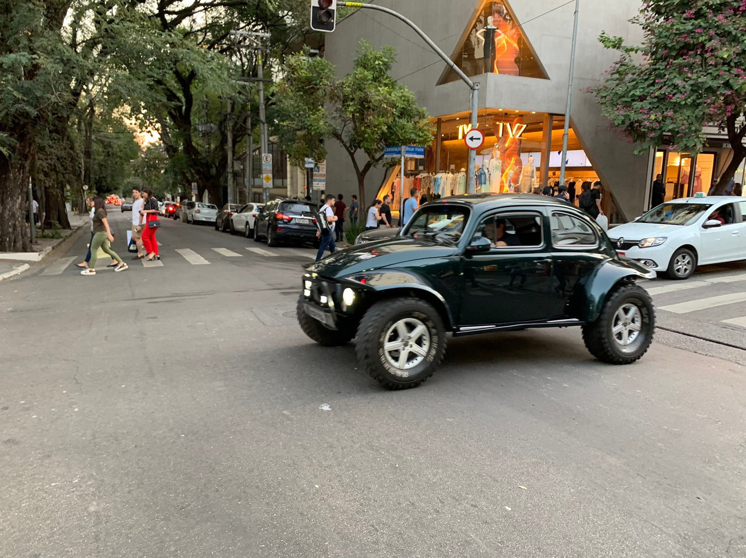 Rua Oscar Freire Shopping Street-圣保罗必去景点