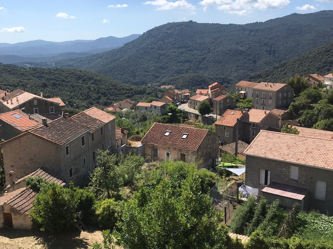 Gîte du Chalet Pietri主图