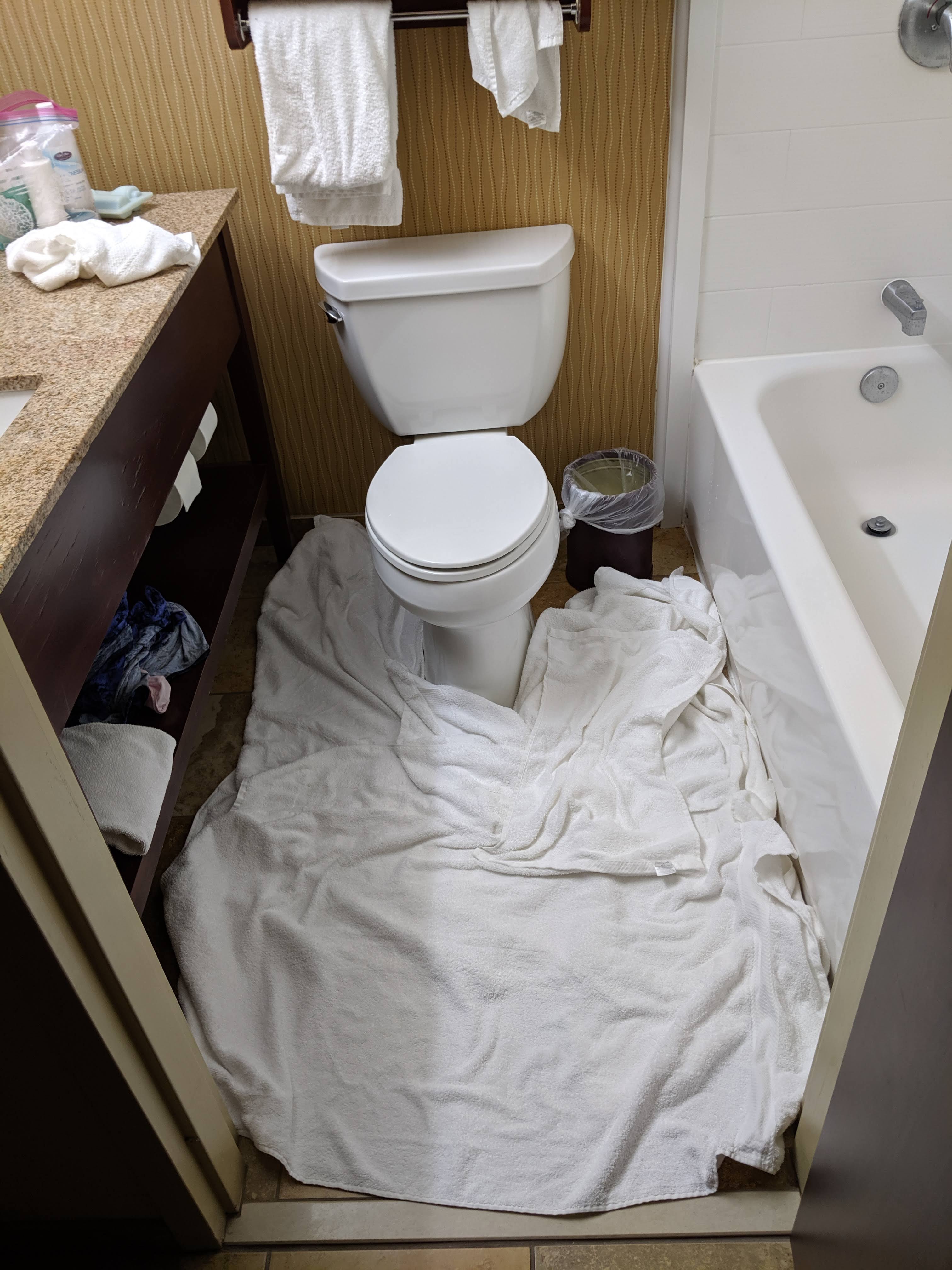 Hampton Inn Haverhill-浴室