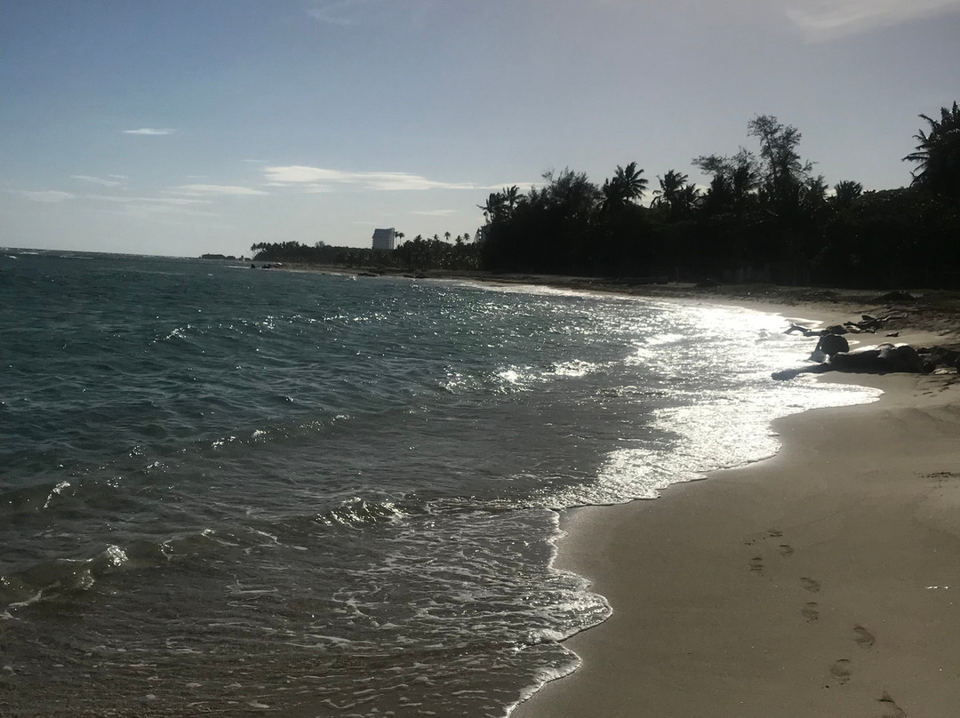 Juan Dolio Beach景点图片