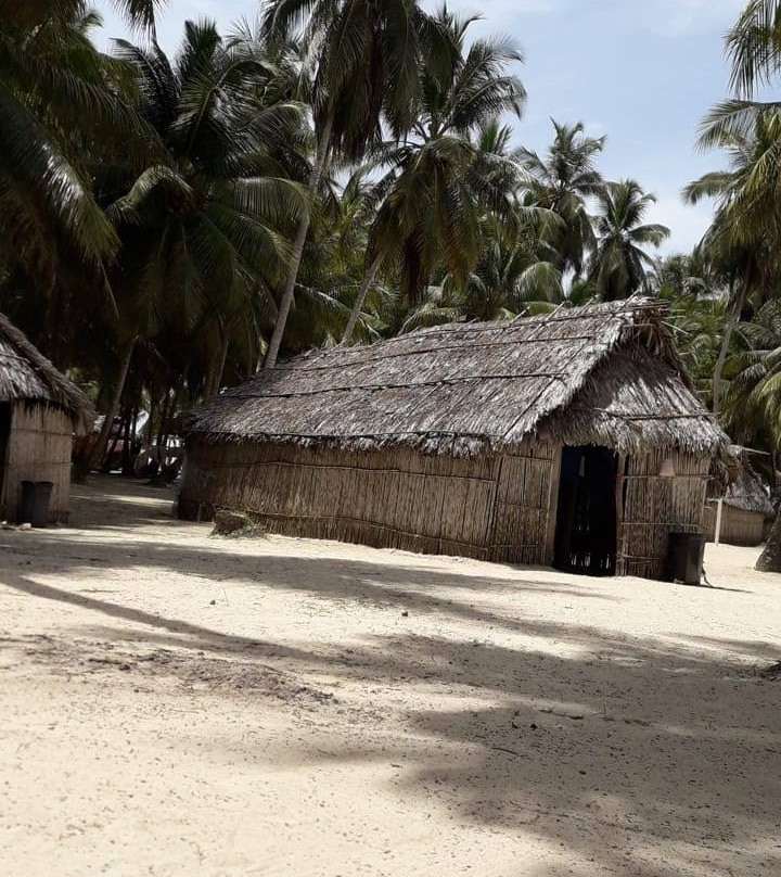 Isla Pelicano景点图片