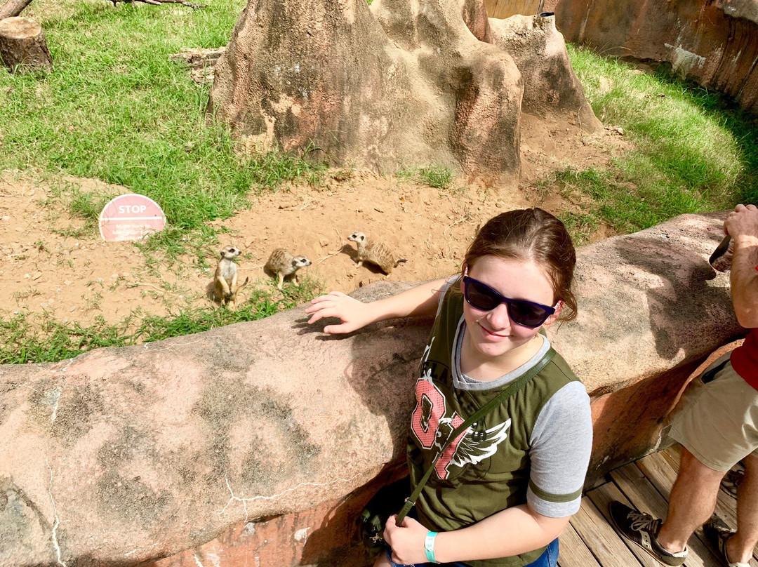 Chehaw Park & Zoo-奥尔巴尼必去景点