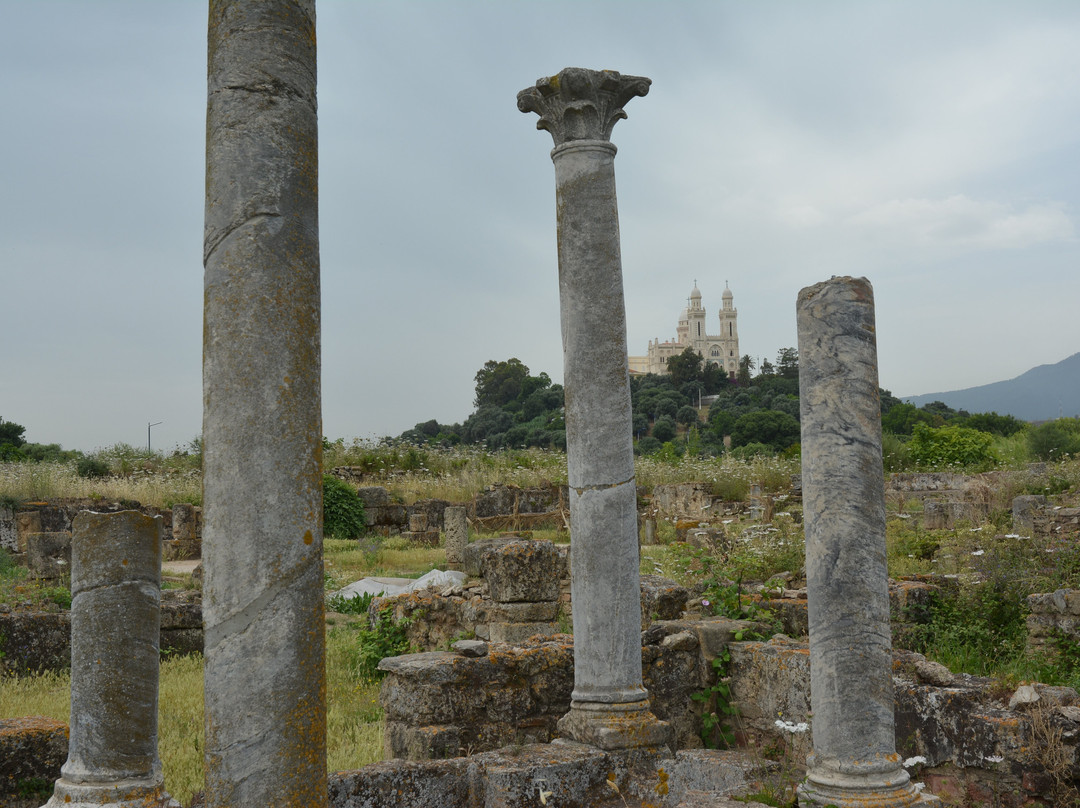 Musee des Ruines d' Hippone-阿拿巴必去景点