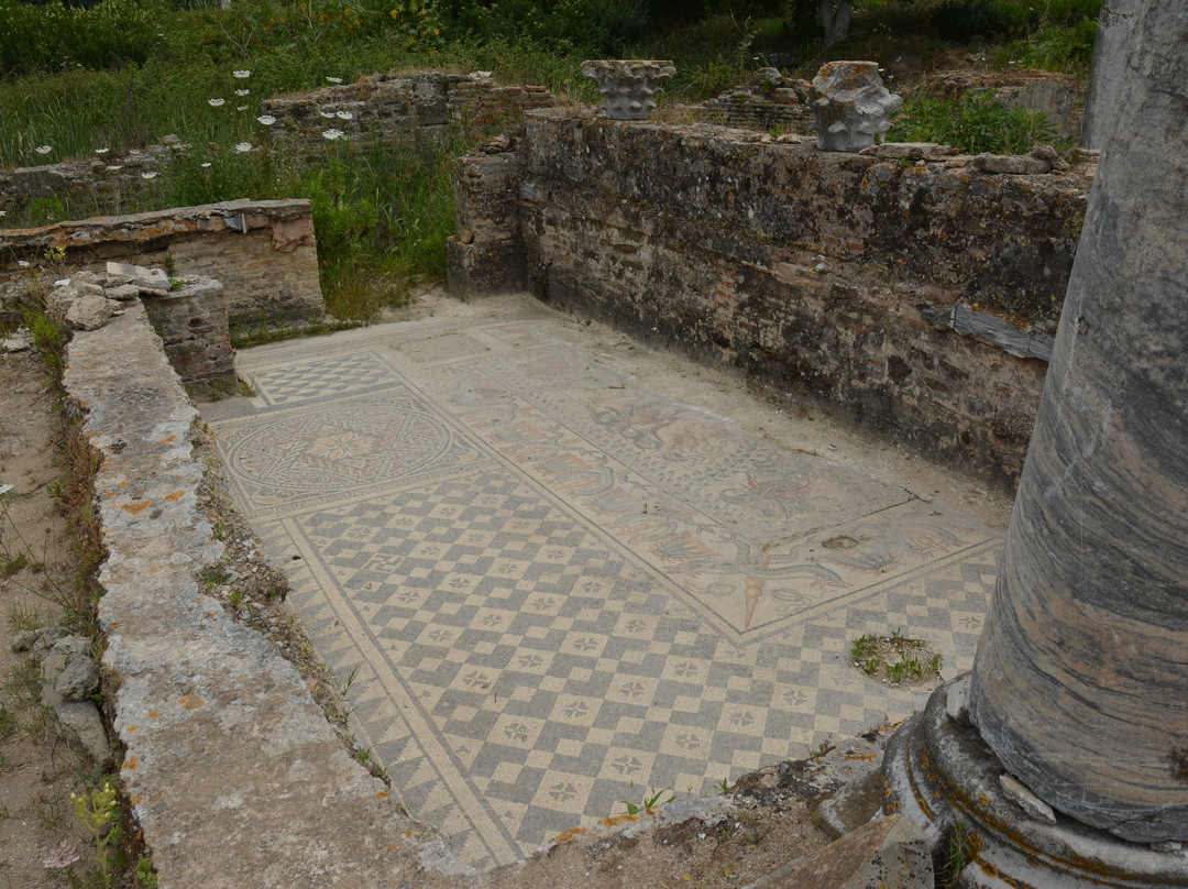 Musee des Ruines d' Hippone-阿拿巴必去景点