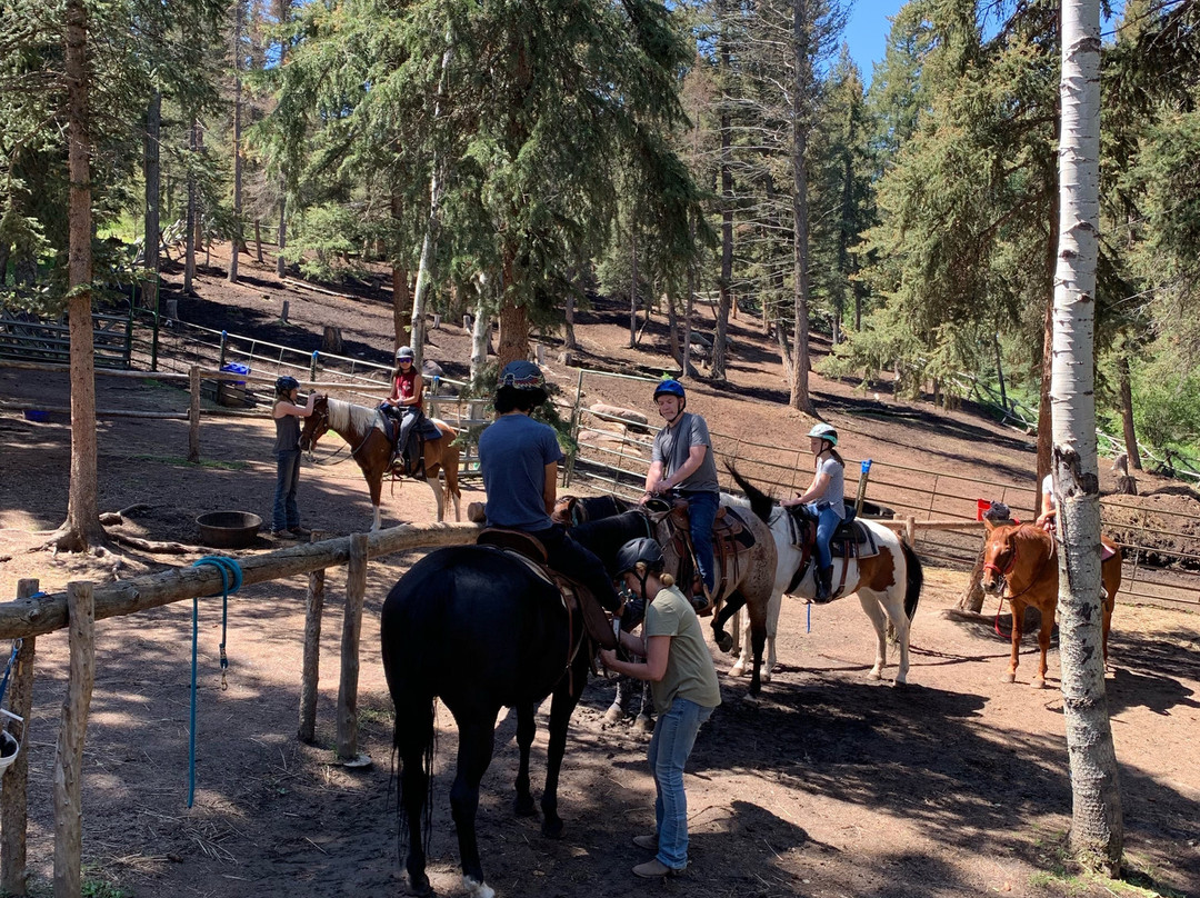 Bear Mountain Stables-Conifer必去景点