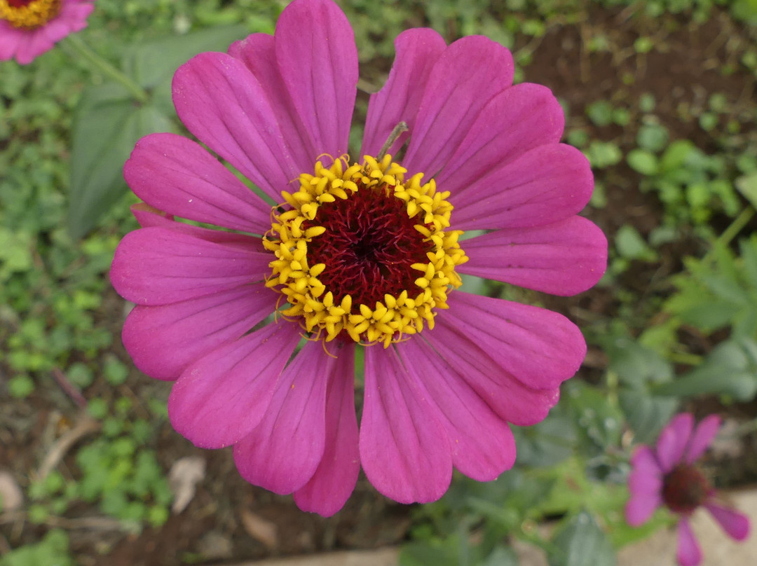 Lutheran Uhuru Hotel Moshi主图